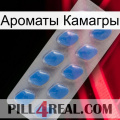 Ароматы Камагры 22